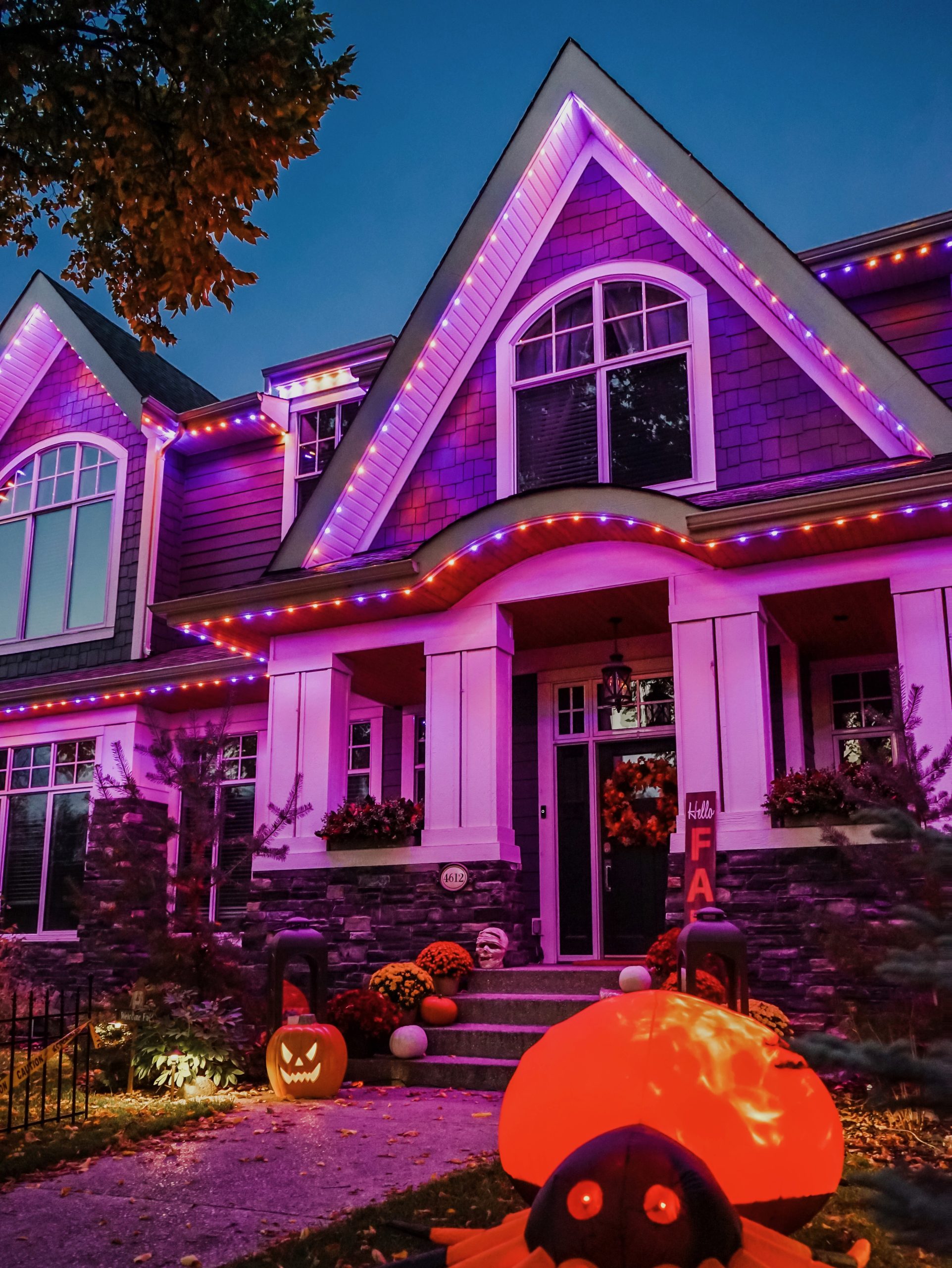 Permanent Holiday Lights